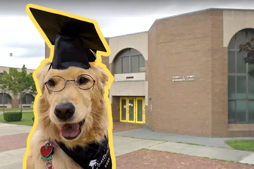 Graduating New Bedford Students Say Goodbye to Beloved Dog Mazie