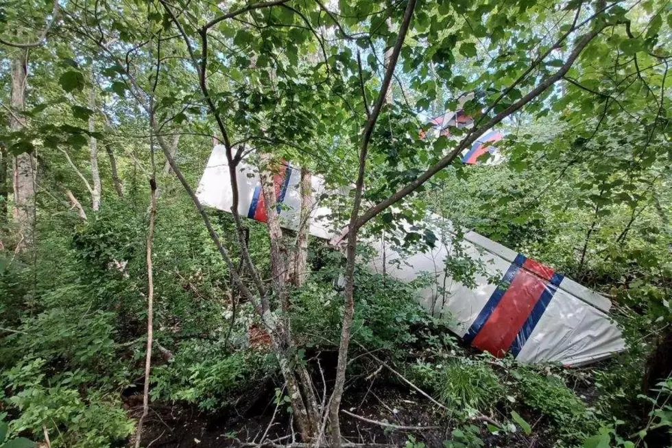 Ultralight Aircraft Crashes in Middleboro Woods