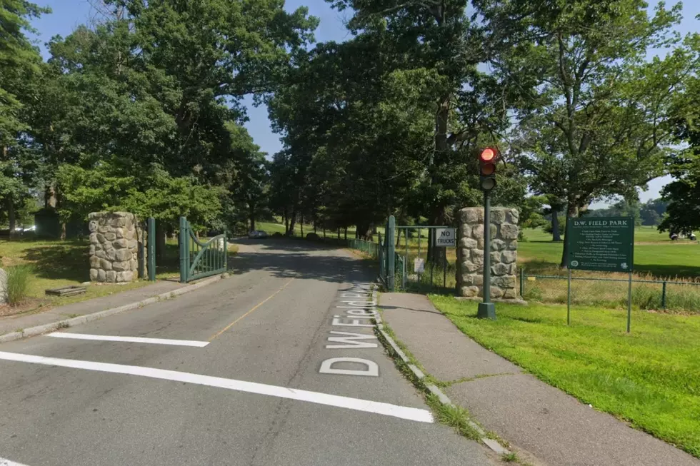Police Investigate After Body Found in Park Water