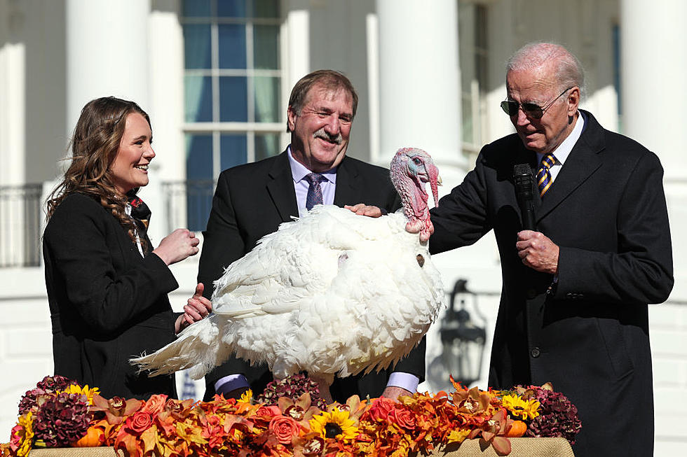 Massachusetts, Rhode Island and White House Thanksgiving Turkeys