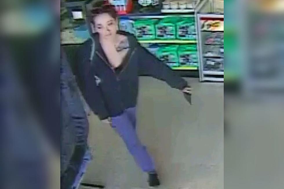 Police Search for Pet Store Shoplifting Suspect