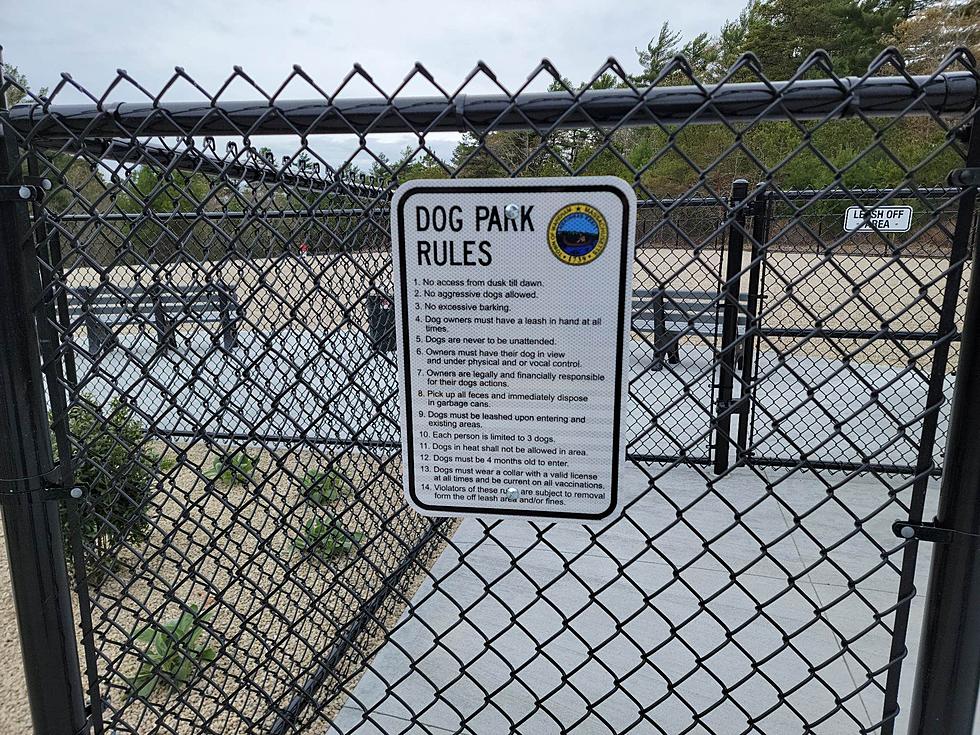 Wareham Dog Park Learns Canines Obey Rules Better Than People