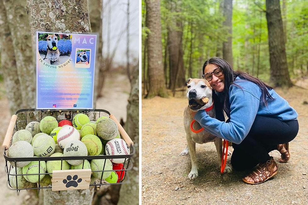 Fairhaven Dog Mom Keeps Mac’s Memory Alive With Unusual Gift
