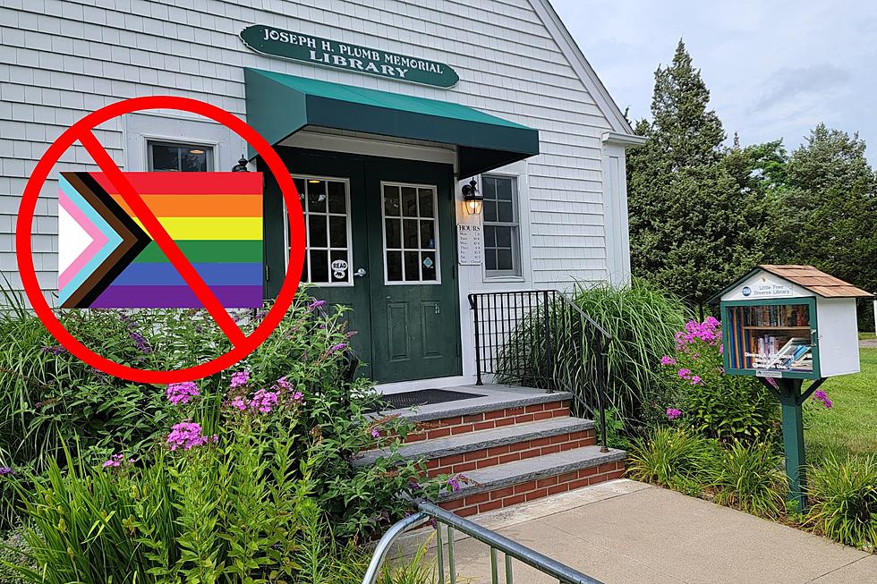 Rochester Flag Policy Forces Removal of Diversity Flag From Little Free Diverse Library