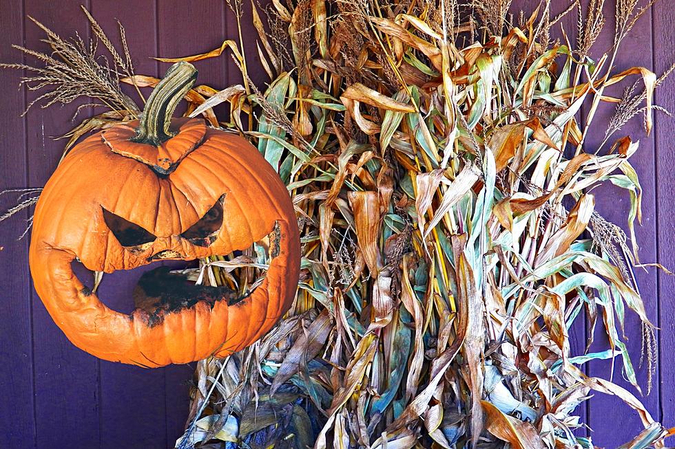 How New Bedford Residents Can Get Rid of Pumpkins and Cornstalks