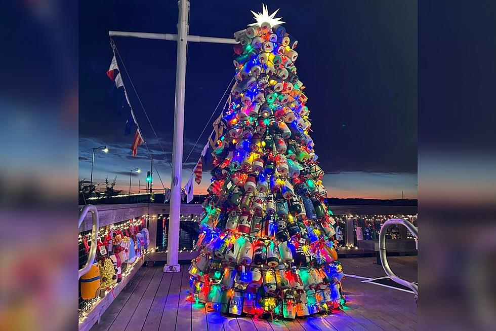 Spreading Cheer through Dartmouth’s Buoy Christmas Tree