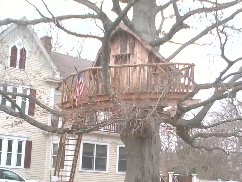 Look at This Really Cool Treehouse in Fairhaven [PICTURE]