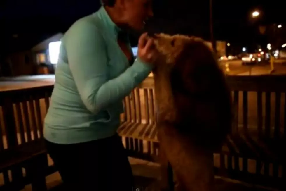 People Call 911 Over Lion Dog in Virginia [VIDEO]