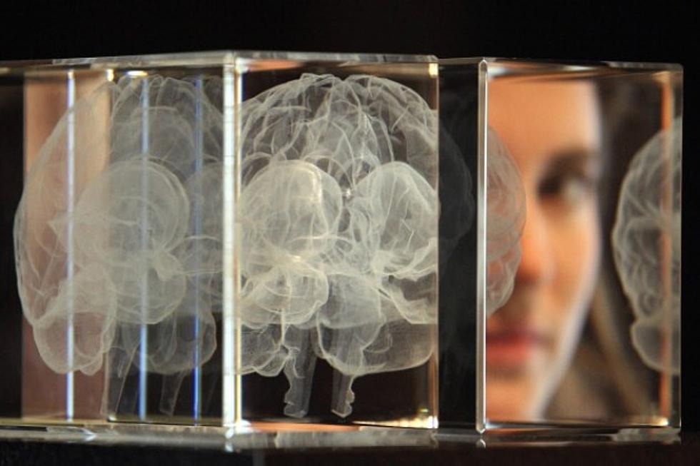 Who Has The Bigger Brain, Men or Women?
