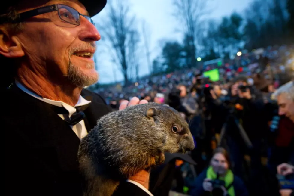Charges Dropped Against Famous Groundhog
