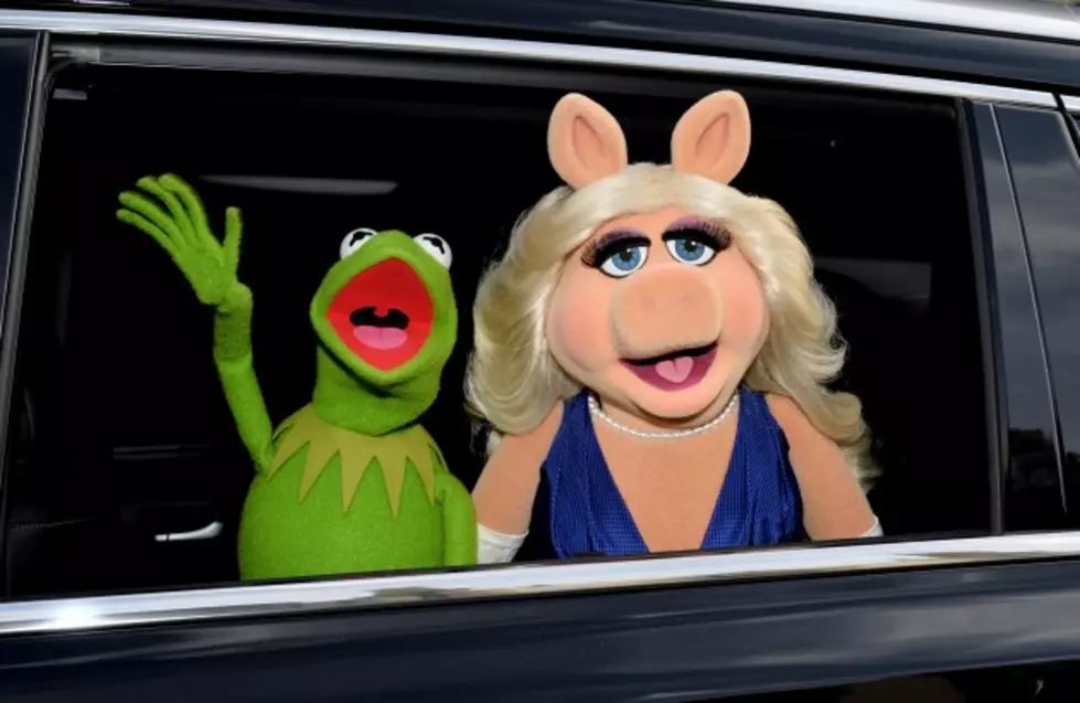 A Surprising Muppets Cameo Appearance