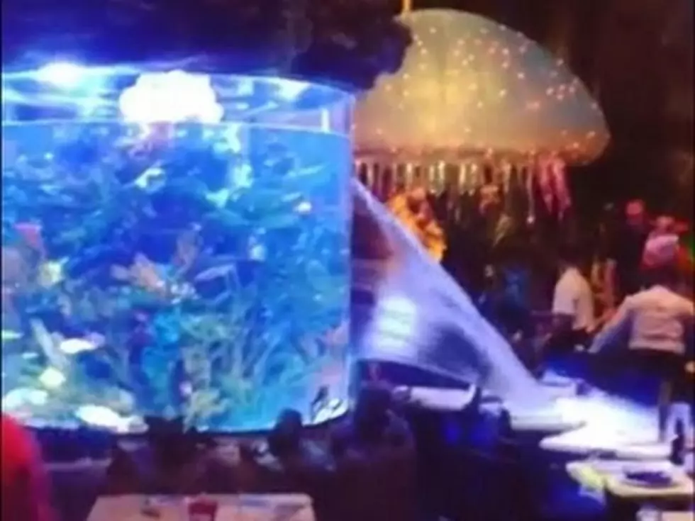Aquarium Breaks At Disney Restaurant