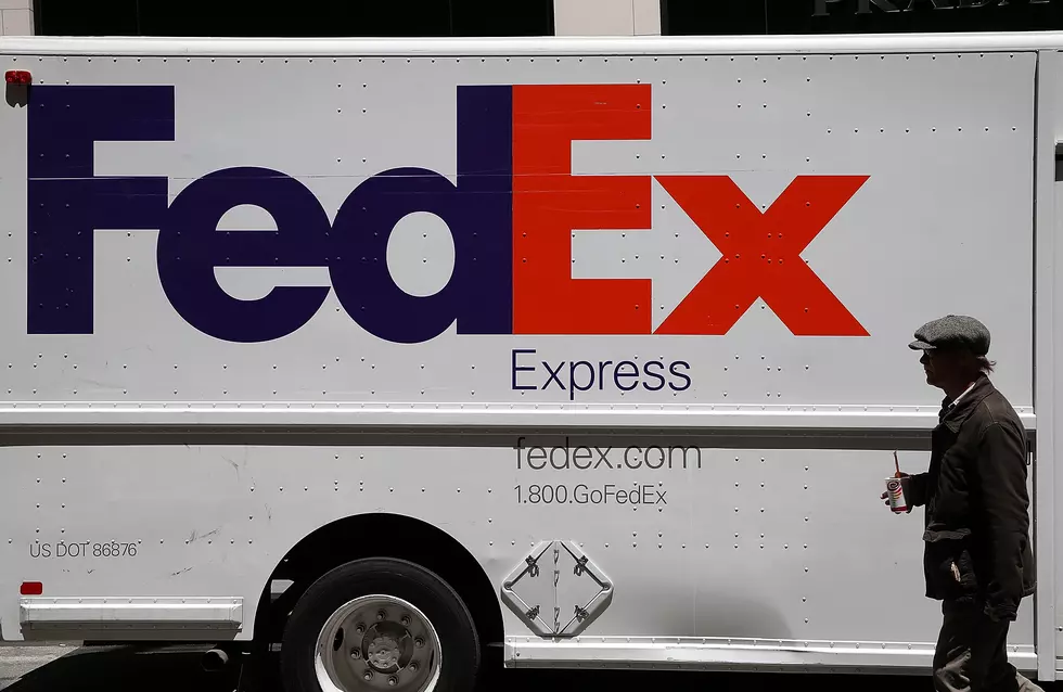 Dogs Watch FedEx Driver Chase Truck