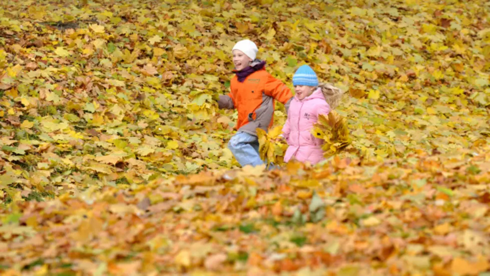 Fall Activities On The South Coast