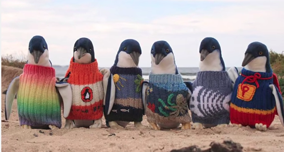 109-Year Old Man Knits Sweaters For Penguins