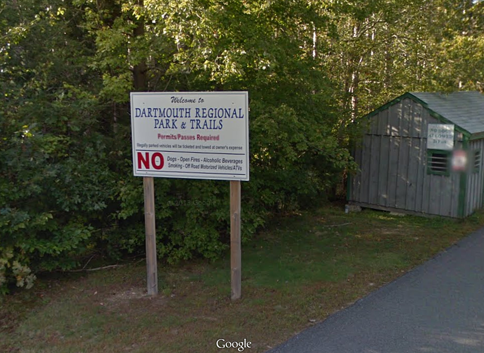 Plans for Dog Parks in New Bedford, Fairhaven and Dartmouth