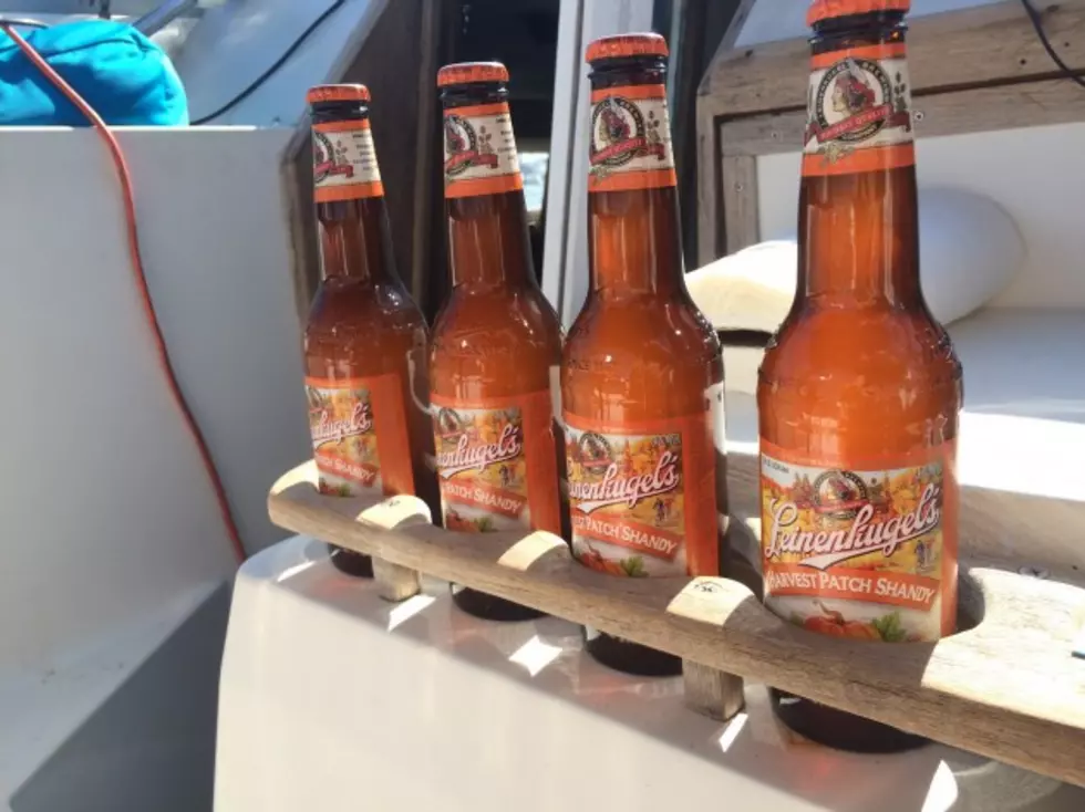 How To Drink A Harvest Patch Shandy In 5 Easy Steps [VIDEO]