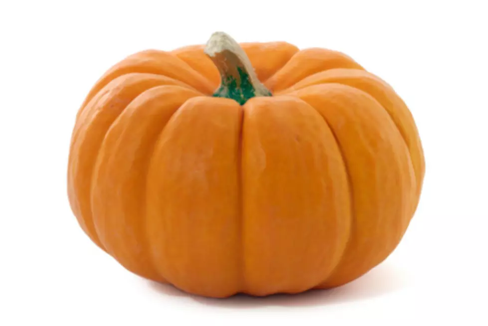 Brace Yourselves – There Could be a Canned Pumpkin Shortage