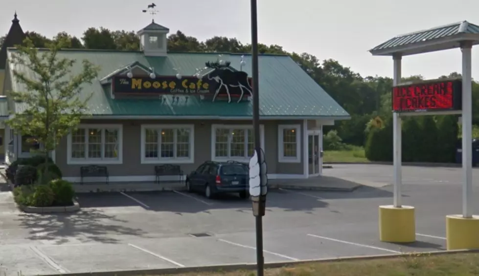 Pumpkins Stolen From The Moose Cafe [VIDEO]