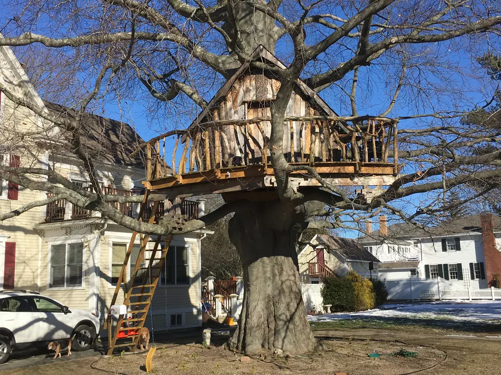 The Fairhaven Treehouse [VIDEO]