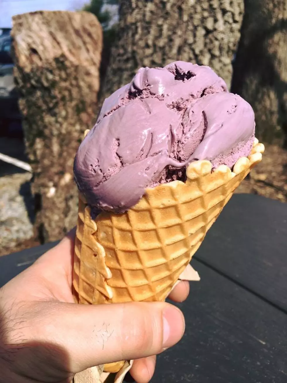 Our Favorite Southcoast Creameries