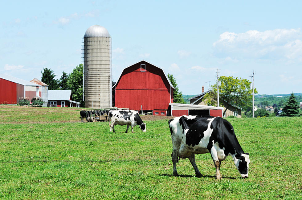 Rhode Island Makes Bold Move To Help Farmers