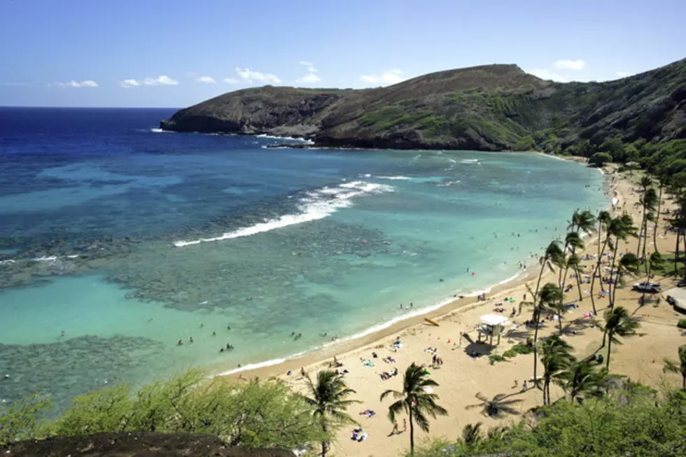 Logan Now Offers Direct Flights to Hawaii