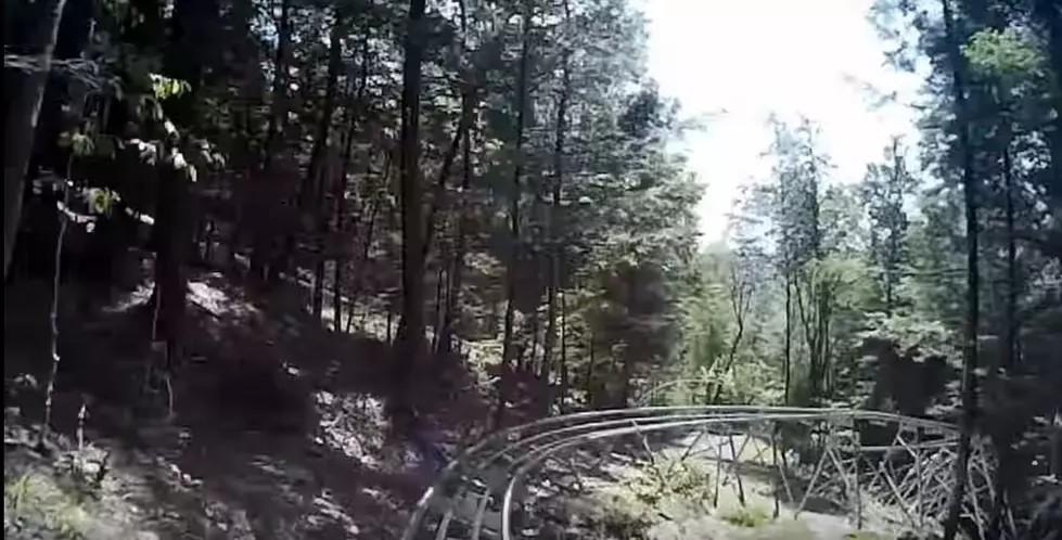 Road Trip Worthy: Epic Mountain Rollercoaster in Massachusetts