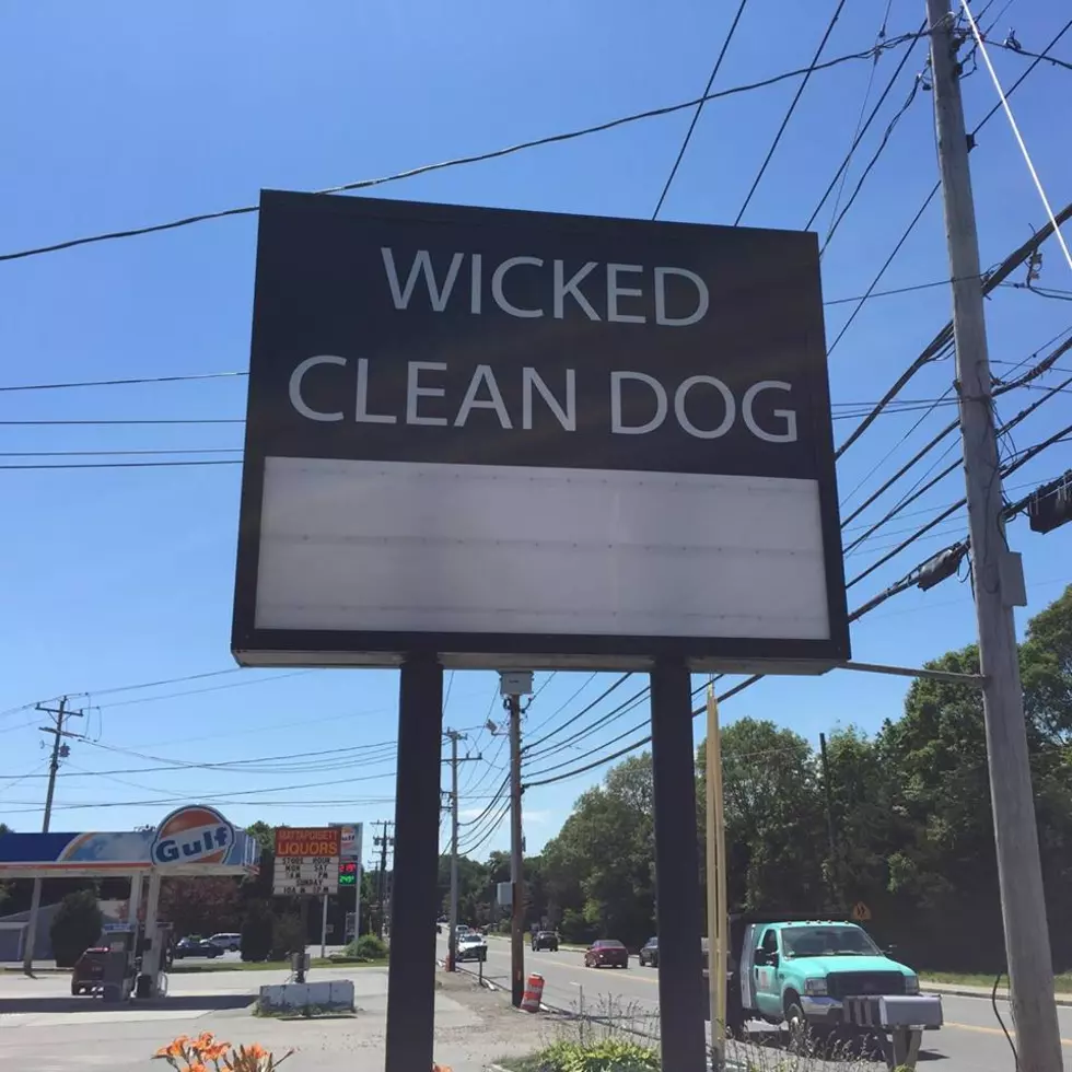 A Wicked Cool Dog Spa Opens on the Southcoast