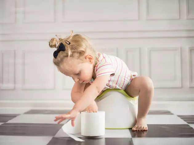 One Mom&#8217;s Tips on Potty Training