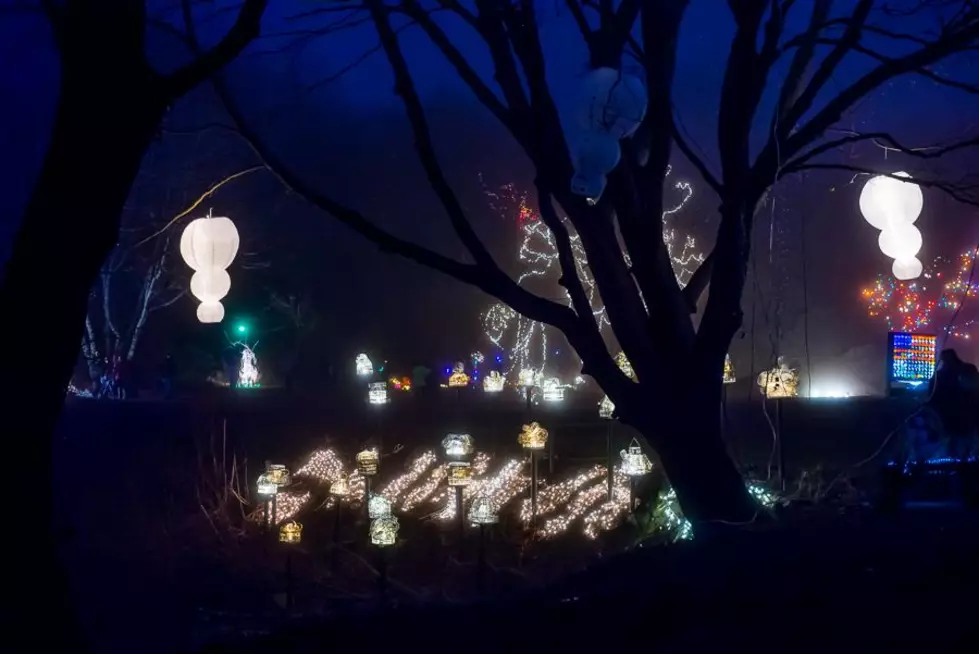 Road Trip Worthy: Illuminated Garden In Newport