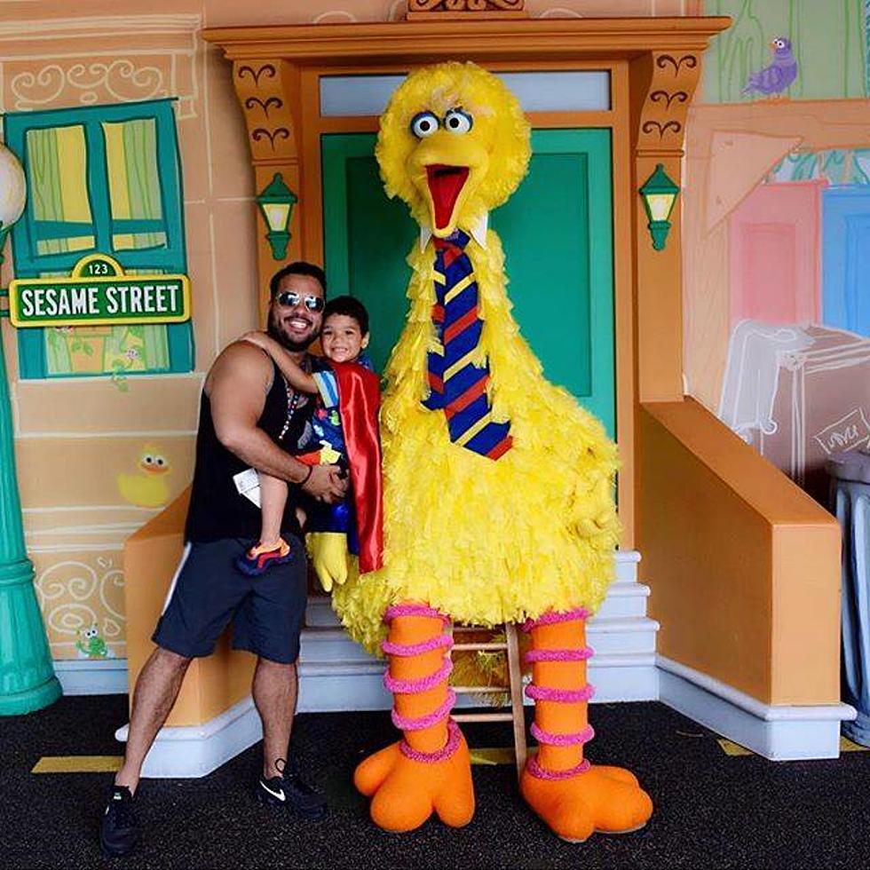 Road Trip Worthy: The Newly Autism-Center-Certified Sesame Place Park