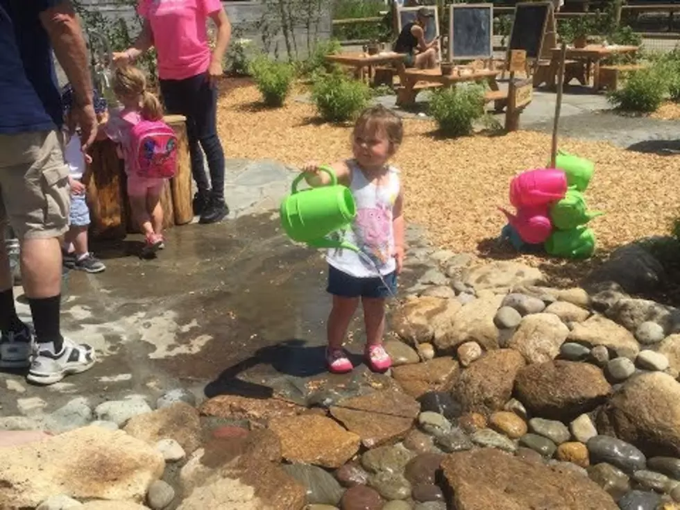 Unstructured Play Space Opens at Buttonwood Park Zoo
