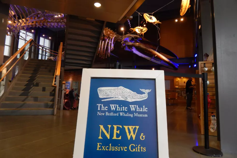 Make Headway on Your Holiday Shopping With The White Whale Gift Shop