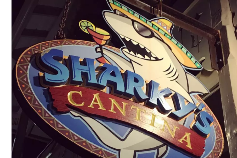 Sharky's Pays Out $30,000