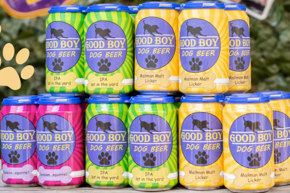 ‘IPA Lot in the Yard’ Dog Beer Is Wagging Tails Everywhere