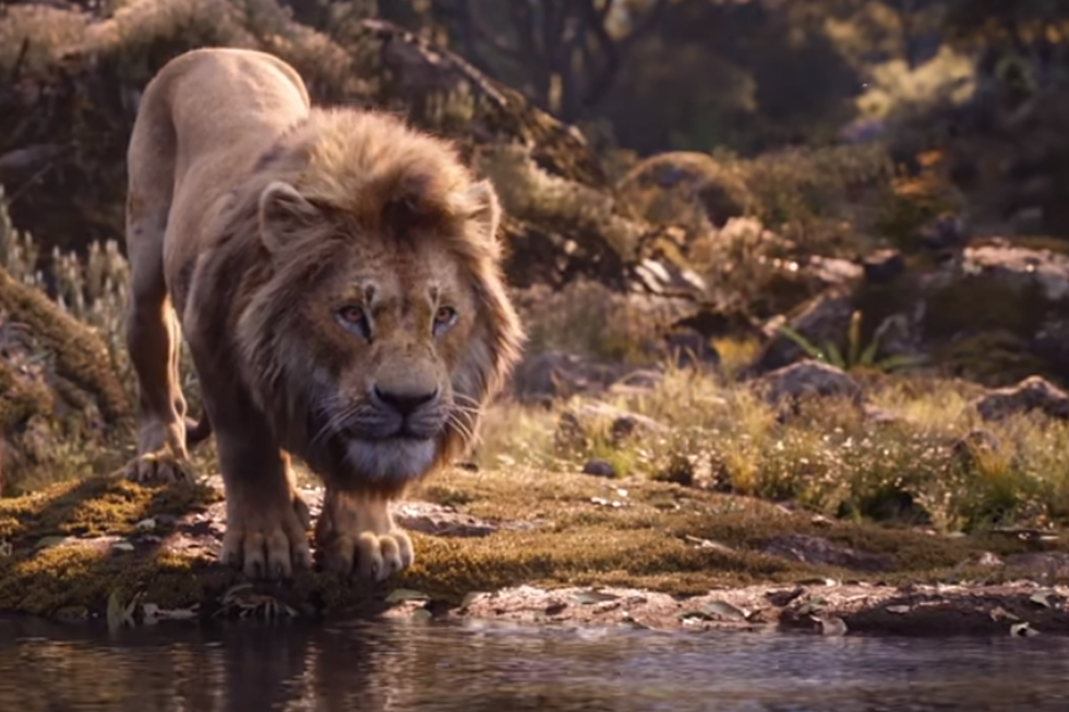 Willie Waffle’s Movie Review: ‘The Lion King: Circle of Life Continues’