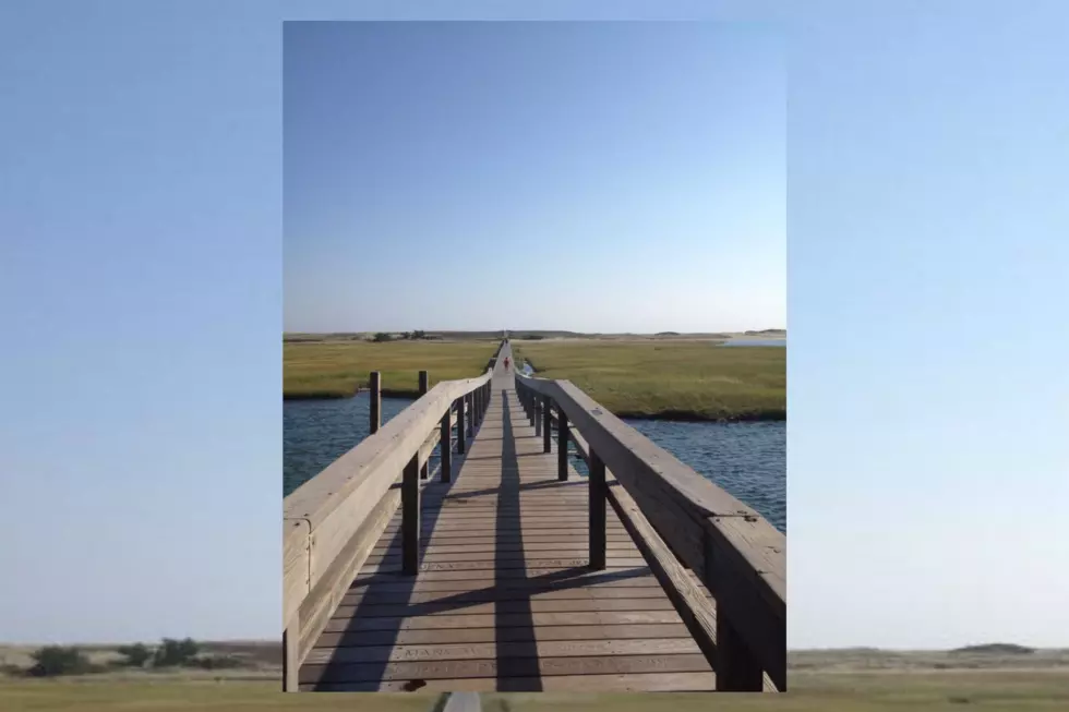 A Boardwalk That Will Have You Walking For Days