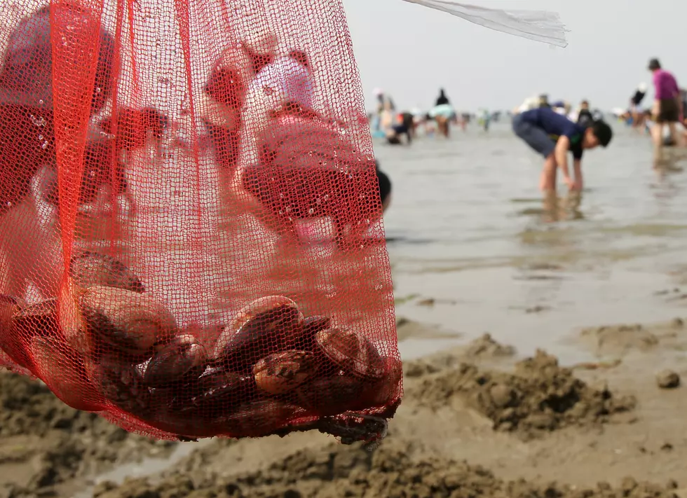 Take Clamming Classes in Rhode Island This Summer