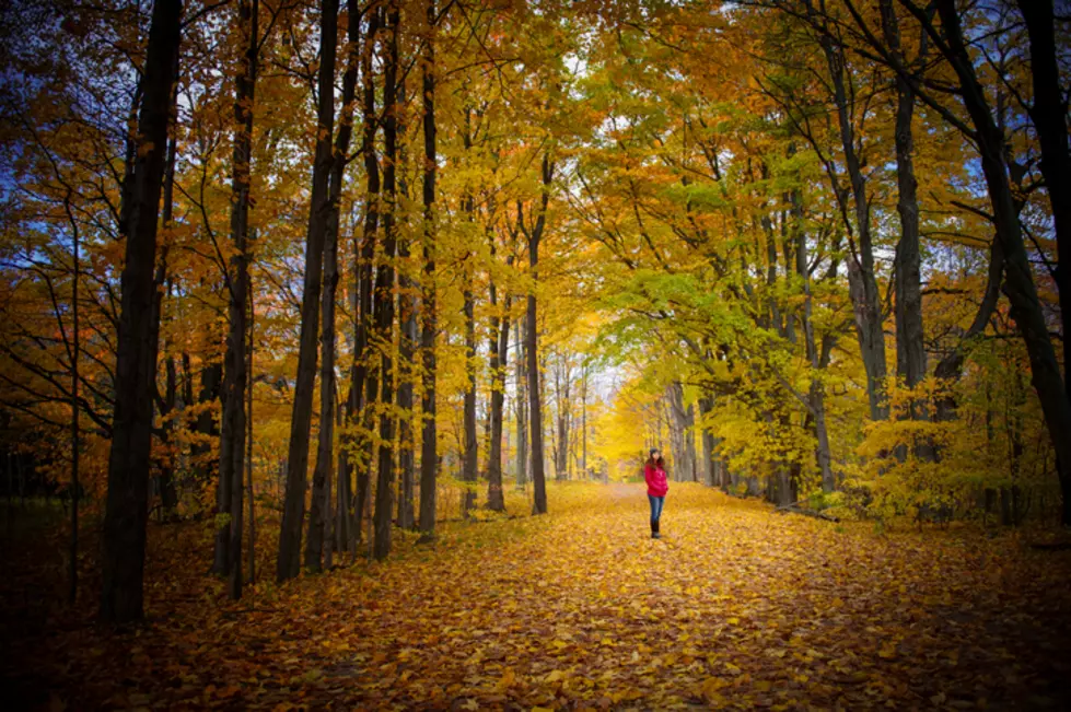 Fall Foliage Pics Are Everywhere and We Want to See Yours