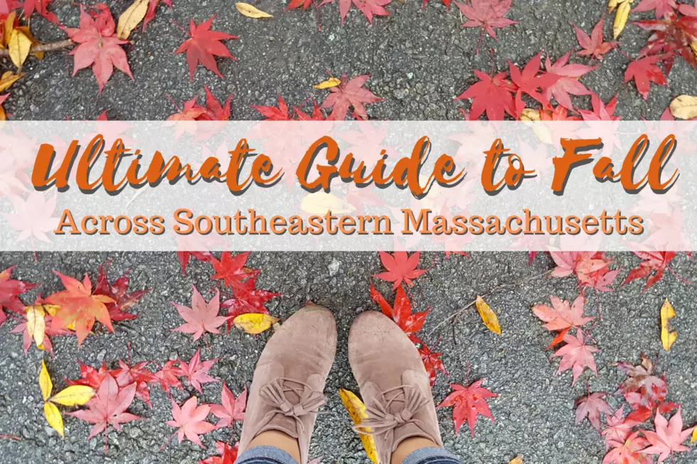Your Ultimate Guide to Fall Across the SouthCoast