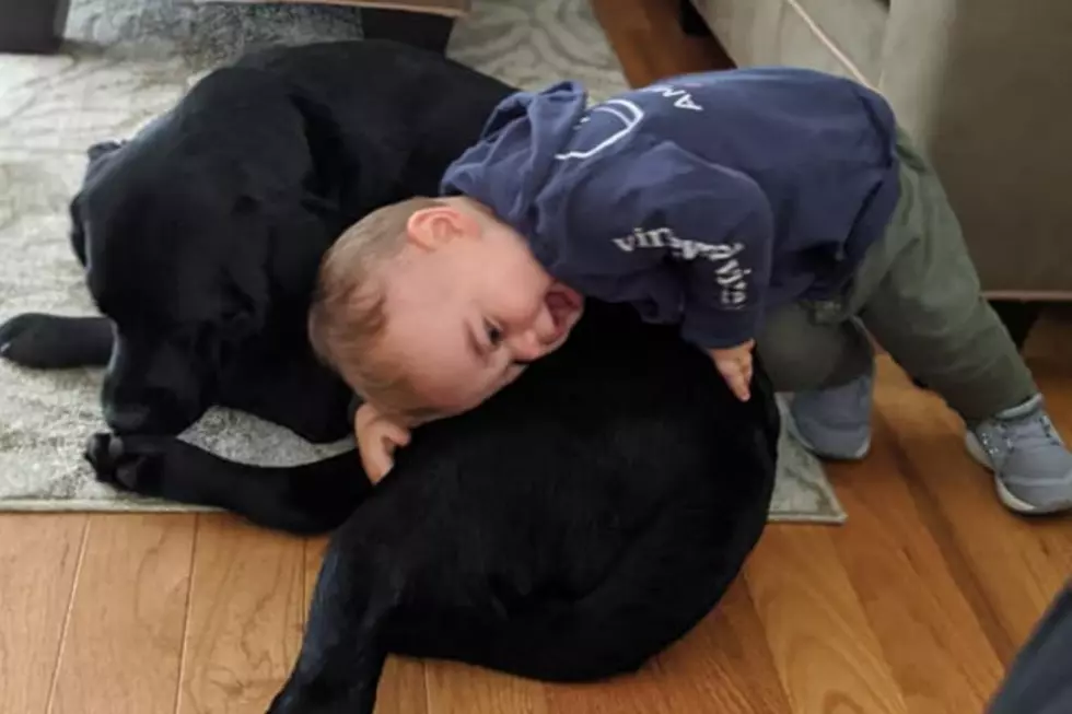 Dartmouth Baby's Laugh Will Make Your Day