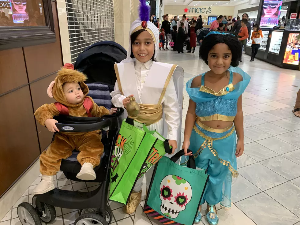 Indoor Trick-Or-Treating at the Dartmouth Mall [PHOTOS]