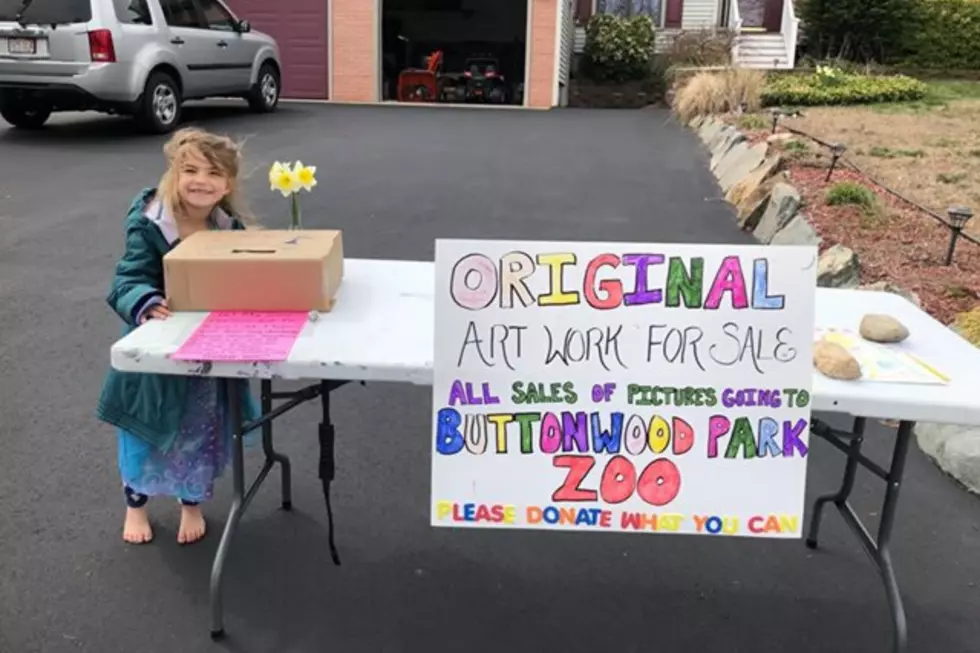 Local Girl Sells Artwork for Donations to Buttonwood Park Zoo