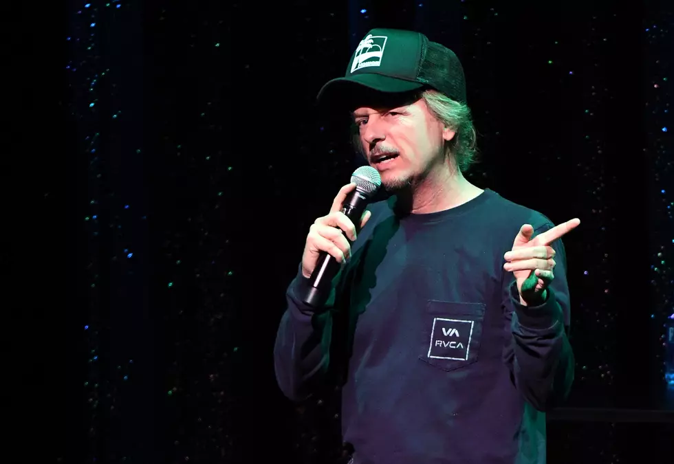 David Spade Is Getting in on the ‘Tiger King’ Hype
