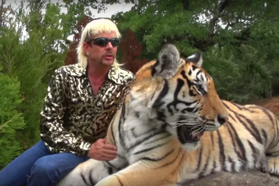 The Rock and Fox Friday Song: ‘Tribute to the Tiger King’ [AUDIO]