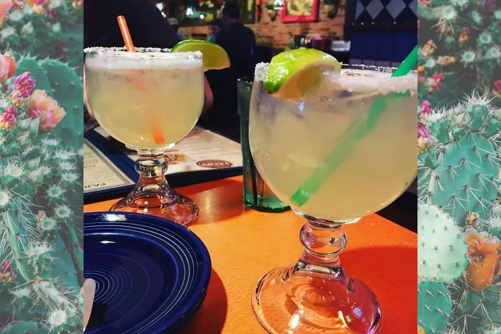 Cheers to National Margarita Day at These SouthCoast Spots