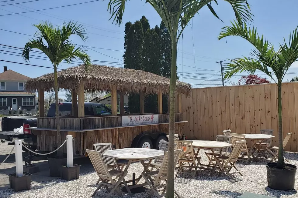Rhode Island Restaurants Are Renting Palm Trees and You Can, Too