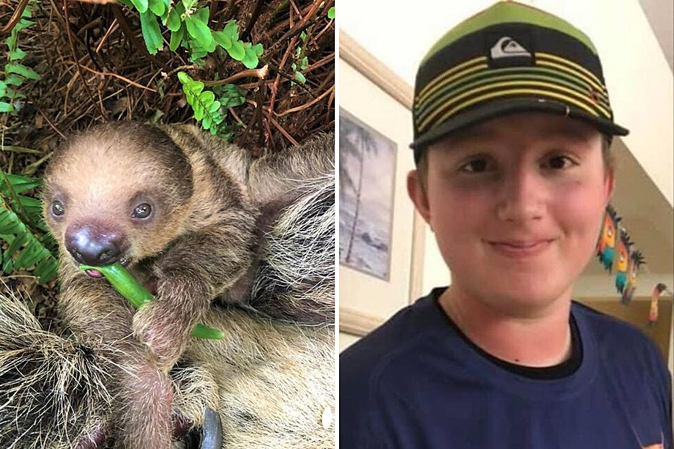 The Story Behind This Baby Sloth's Name Will Bring You to Tears