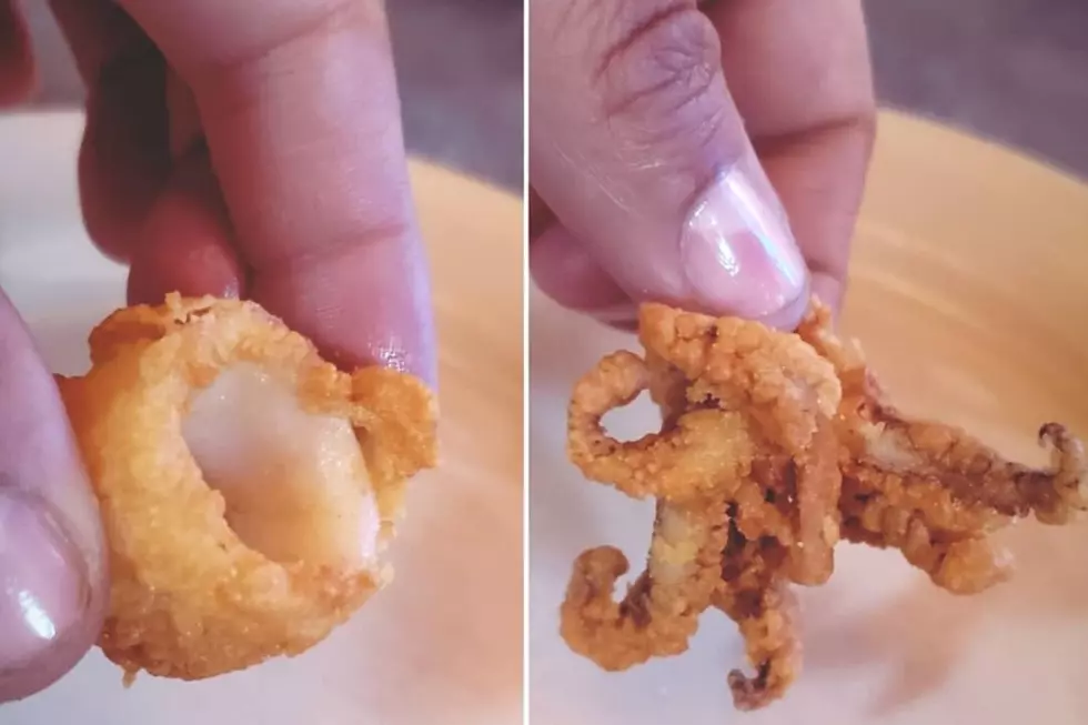 The Great Fried Calamari Debate: Rings or Legs? [POLL]